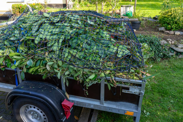 Best Same-Day Junk Removal Services  in Shannon Hills, AR